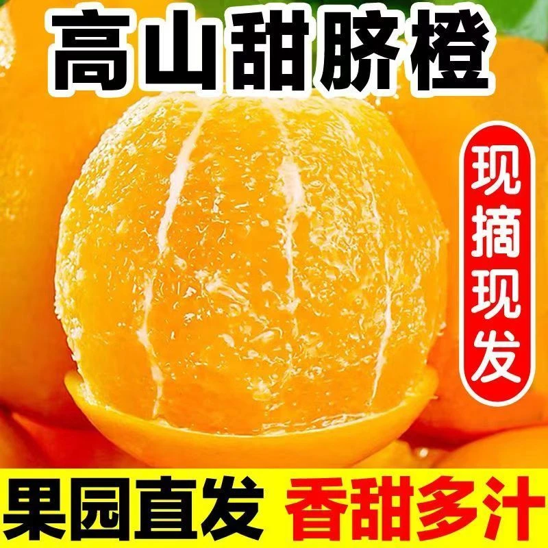 现摘南方重庆奉节脐橙孕妇新鲜水果当季水果维c直发