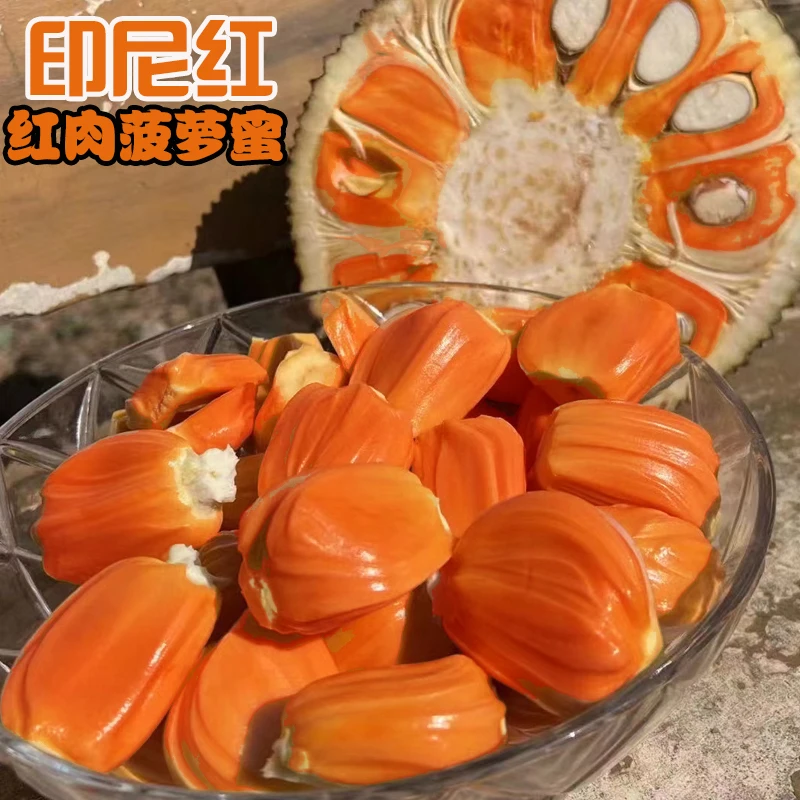 【偏远EMS空运专拍】印尼红肉菠萝蜜一整个当季新鲜水果红心菠萝蜜