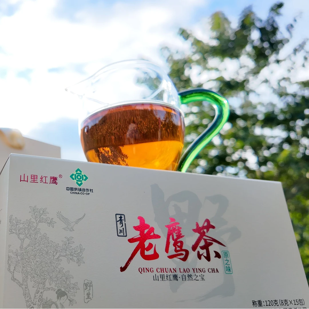 新品老鹰茶 深山老林茶 口感甘醇丝滑 樟香裹着清甜日常养生茶