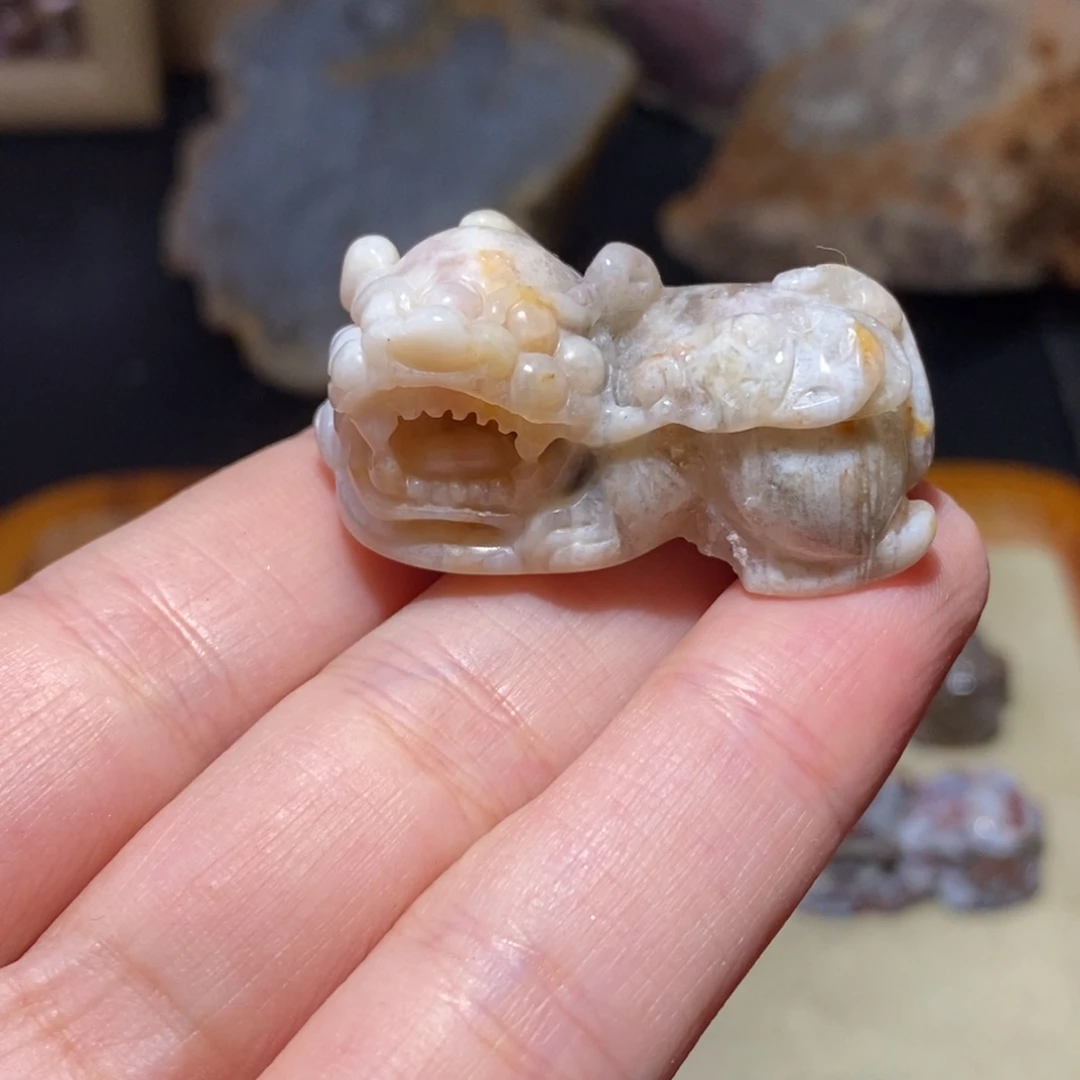 【闪购商品】硅化玉珊瑚玉未镶嵌
