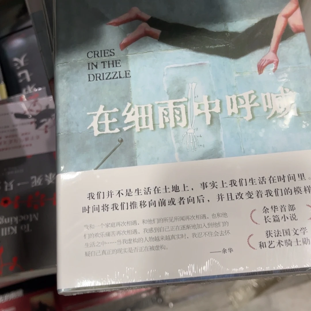 在细雨中呼喊精装一个