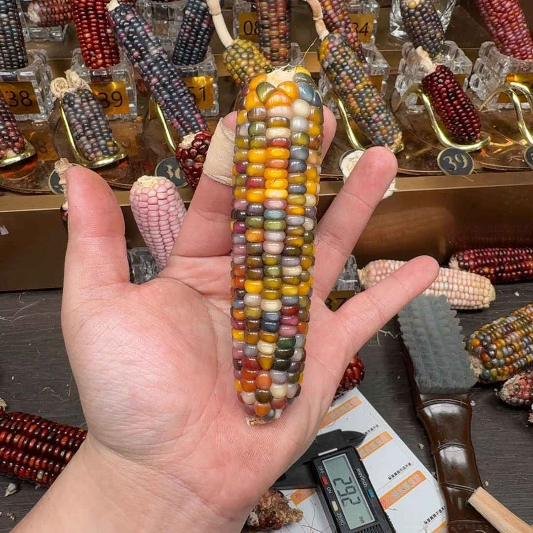 柏香籽/百香籽吊坠念*