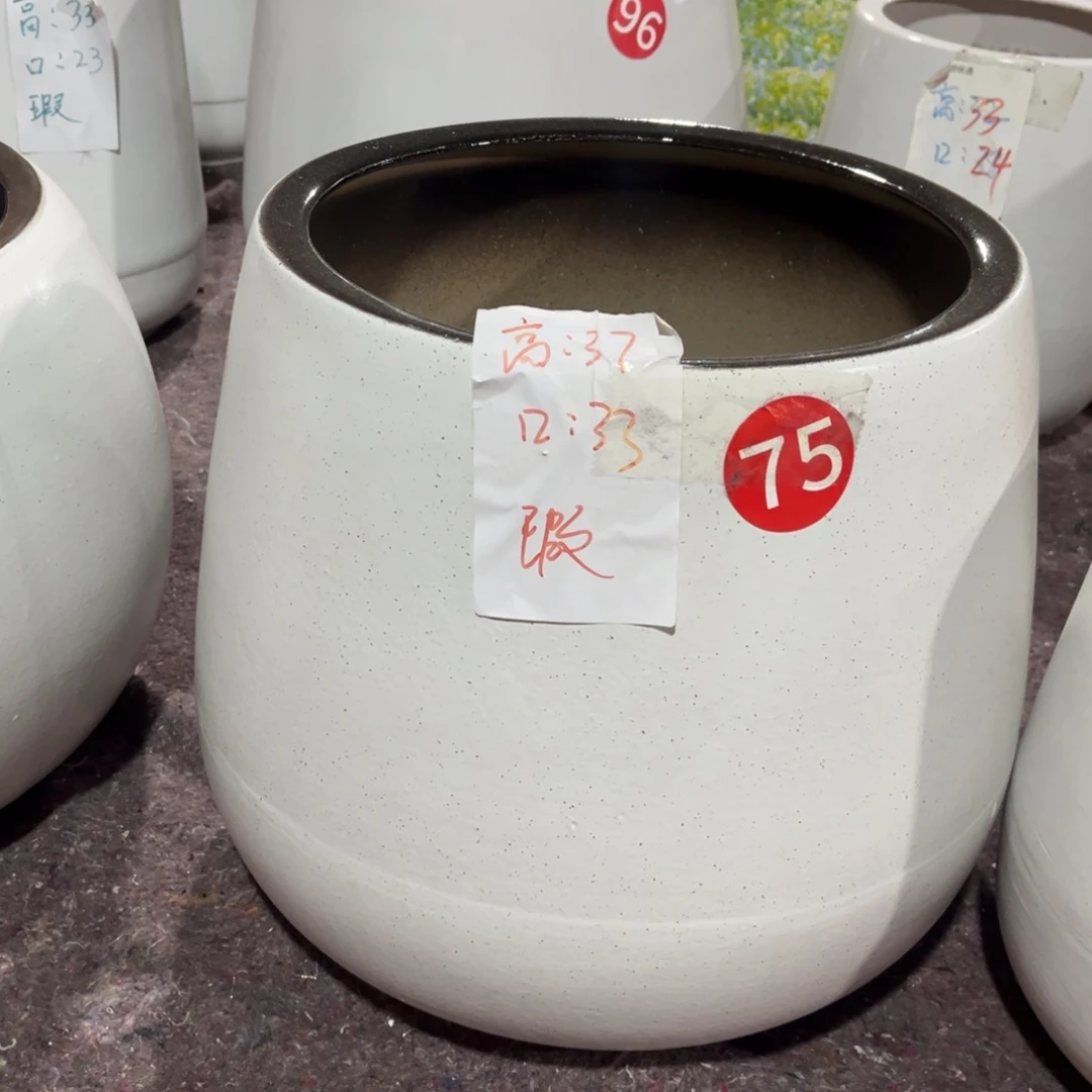 黑口大龙蛋一个大号花盆