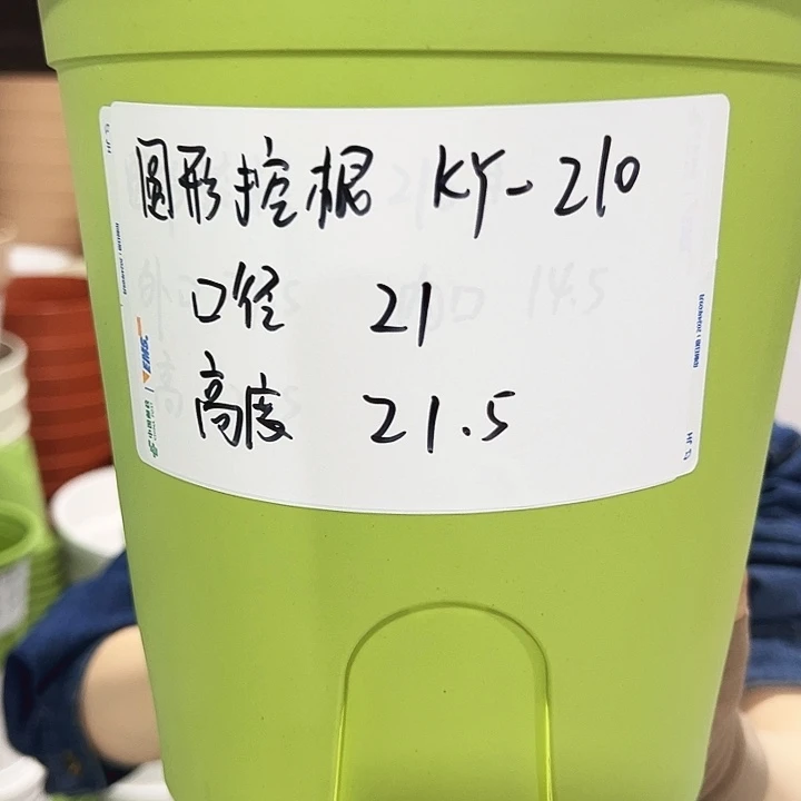 正品圆控根口21高21果绿无托8个