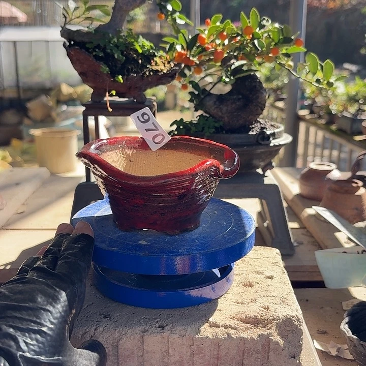 11x5.5////////////970///////