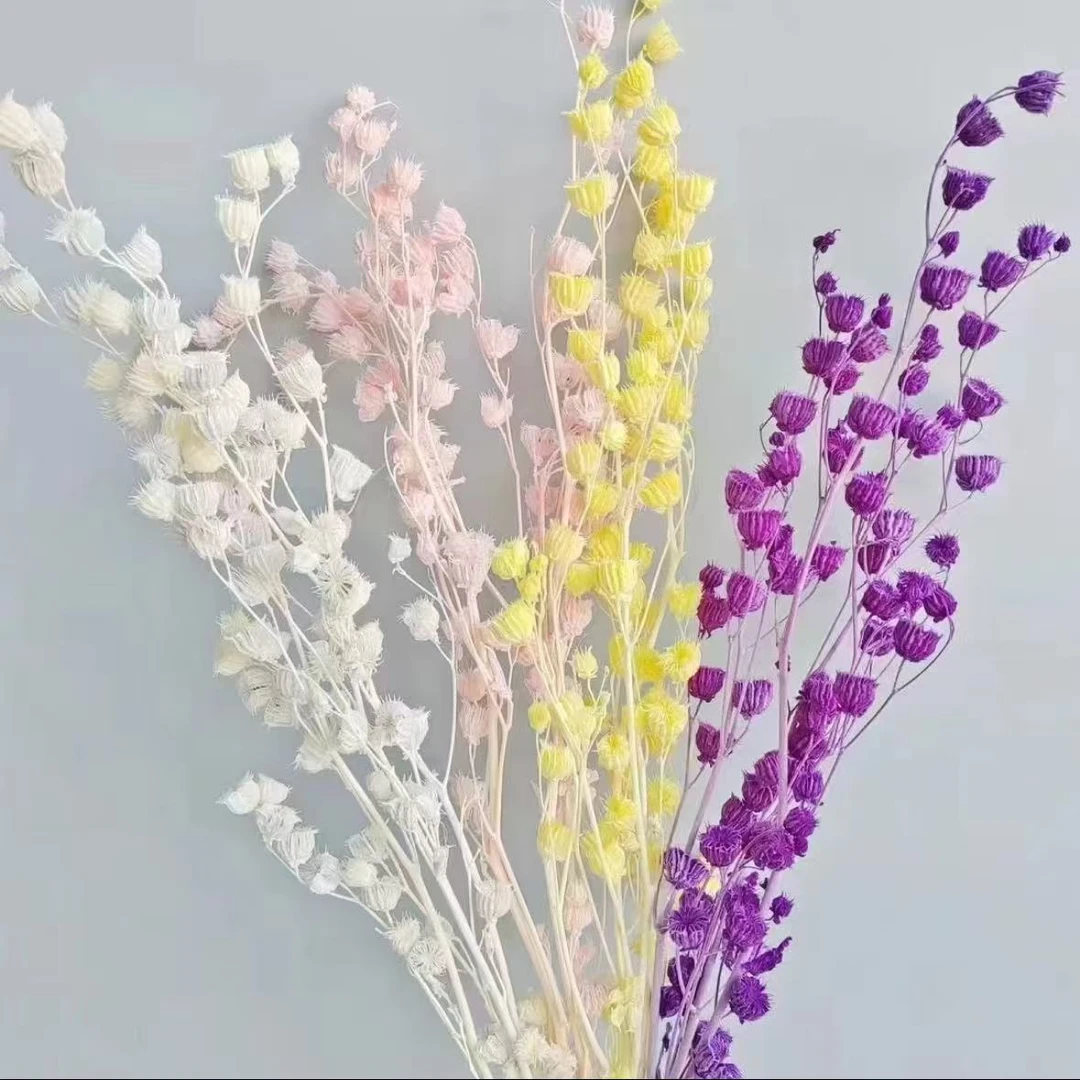 【陶爱笑】永生花年轮果花束装饰手工装饰DIY手工相框