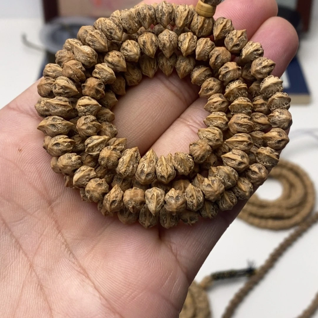 热振柏香籽鸭嘴兽鬼眼横打108一条