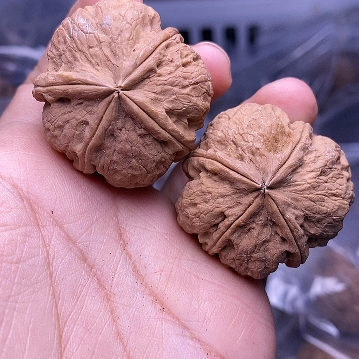 文玩核桃把件   117