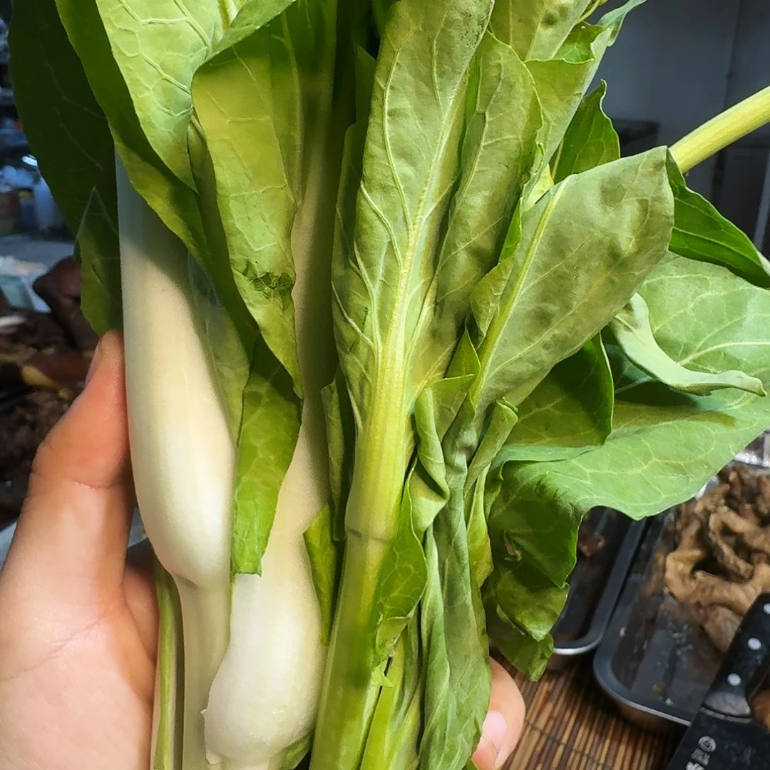 华***）白菜中国大陆青菜