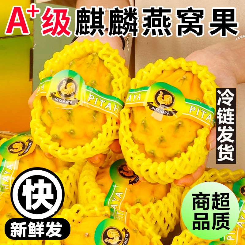 正宗海南礼盒装新鲜麒麟香甜燕窝果海南特产顺丰包邮