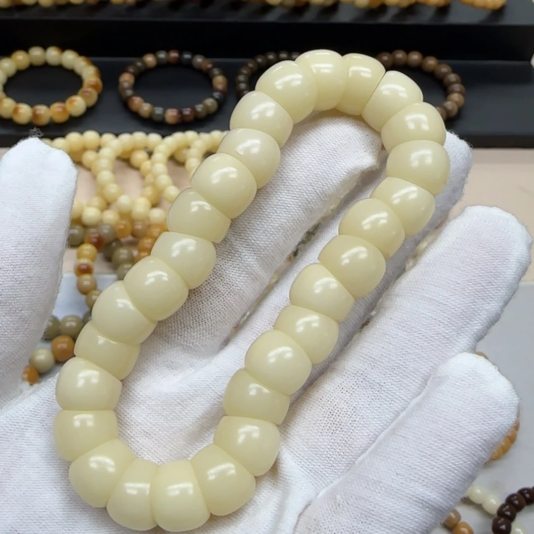 菩提根/象牙果手串12 大肠 5年