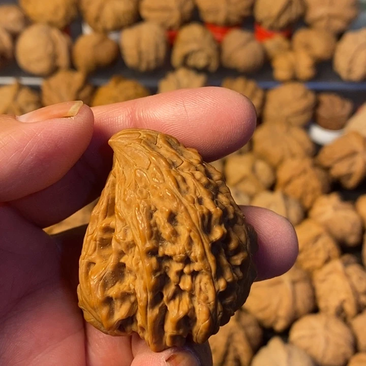 只***人大叶紫檀（黑酸枝木类）