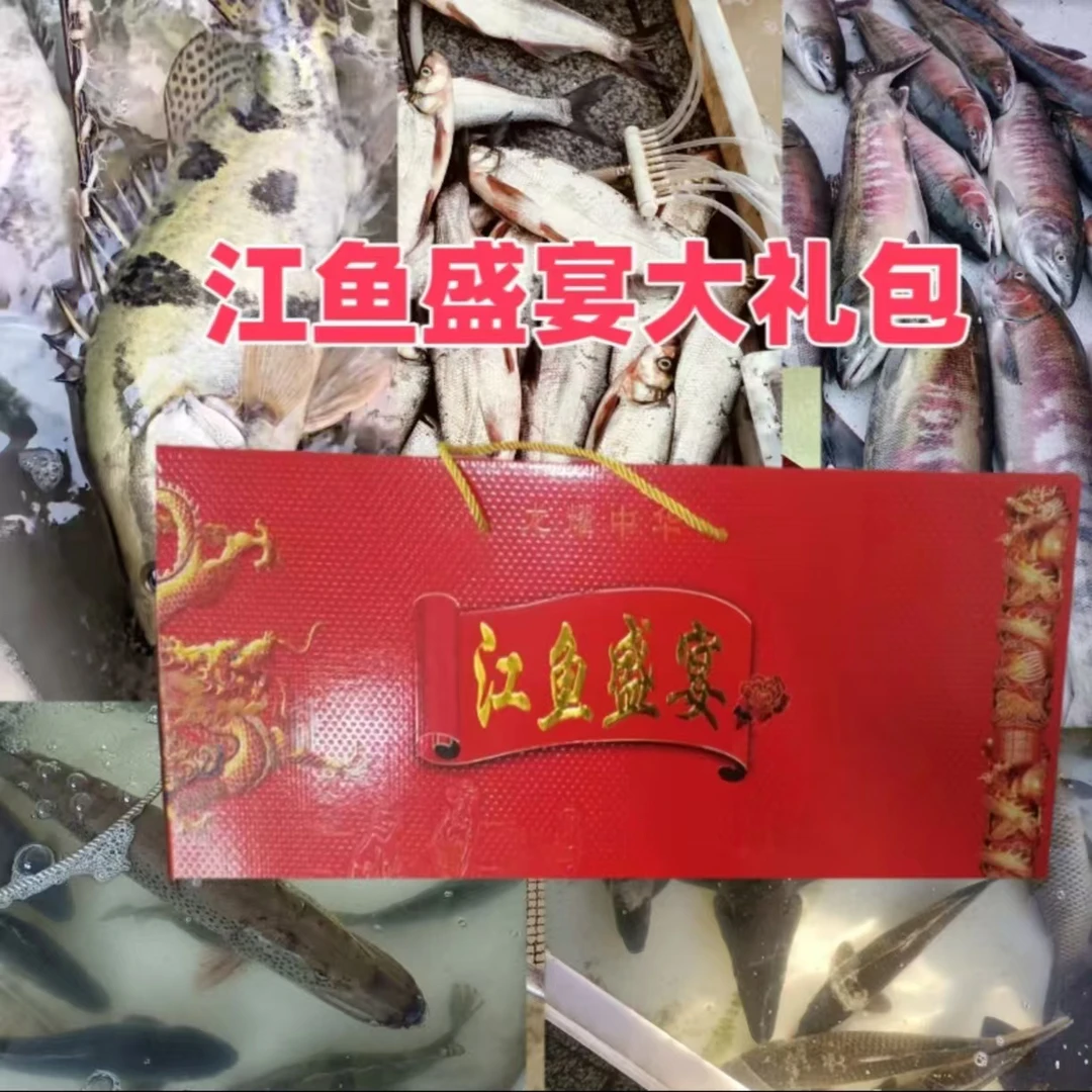 江鱼盛宴大礼包品种（澳花，鳊花，虫唇鱼，鲤鱼，白鱼，鲫鱼）二斤以上