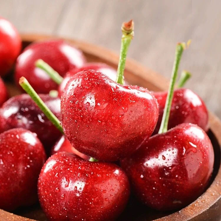 【陕西次日达】布鲁克斯大樱桃现摘现发直径26mmJ左右新鲜大樱桃新鲜水果布鲁克斯