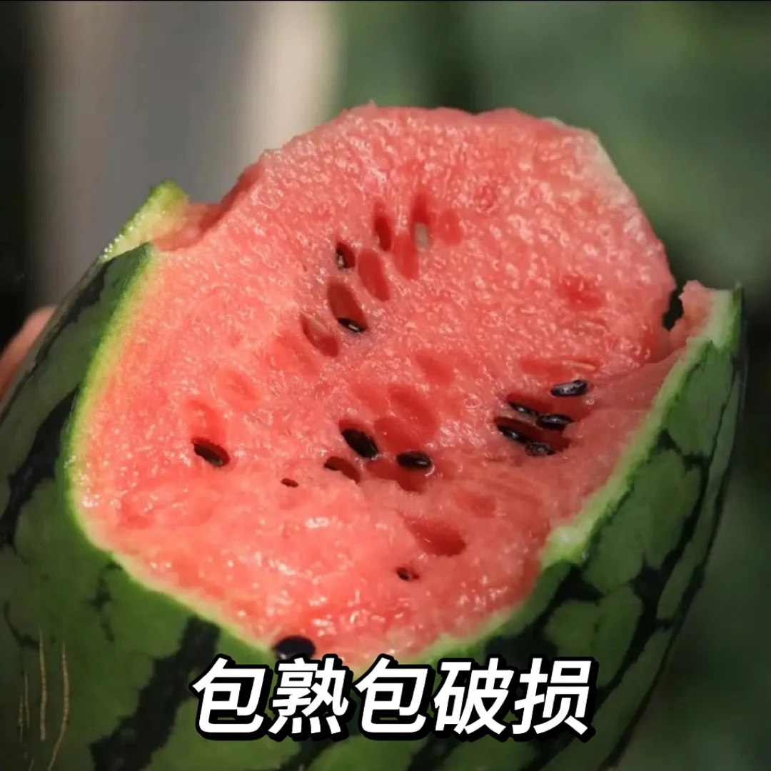 山东红蜜手扒皮西瓜新鲜现摘现发脆甜多汁爽口包熟包破损2-5枚装
