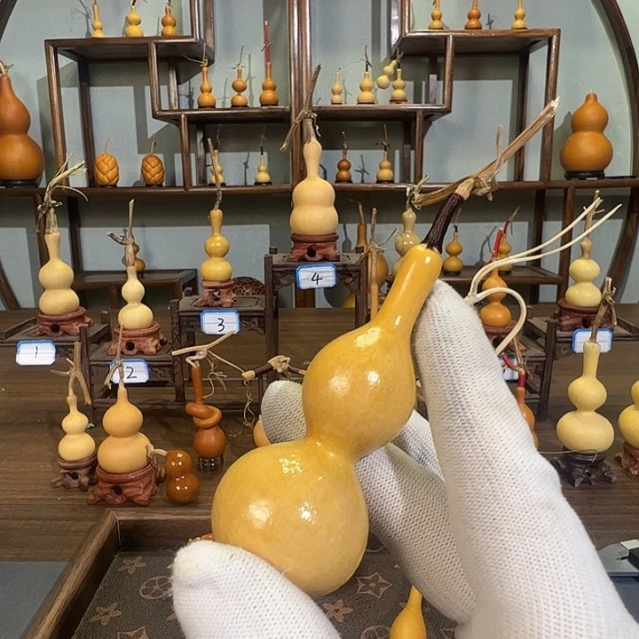 小***仔蚂蚁蚂蚁蚂蚁蚂蚁