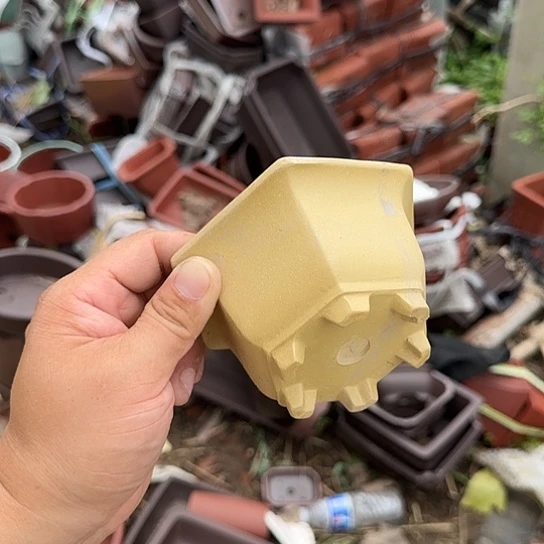 你说是谁就告诉我们我什么