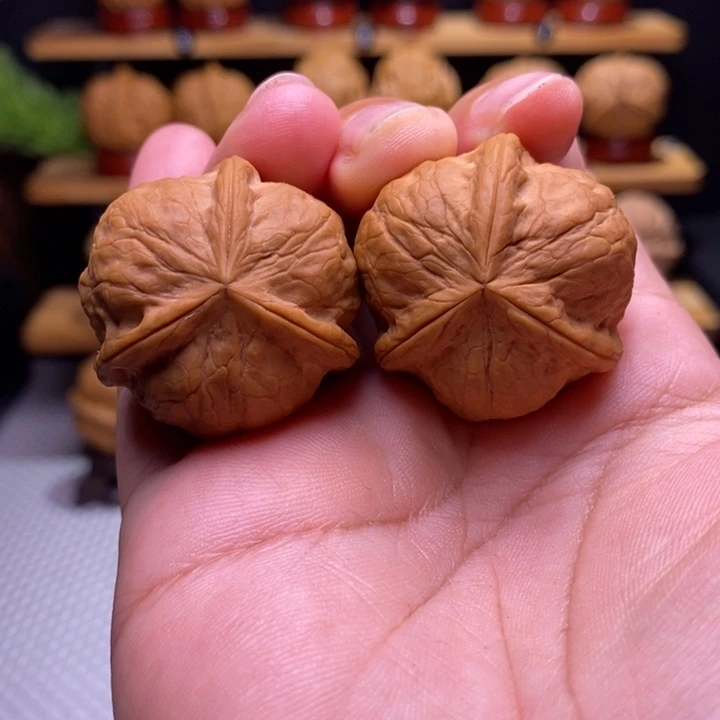 千***鹤核桃云铁甲壳虫三棱3号