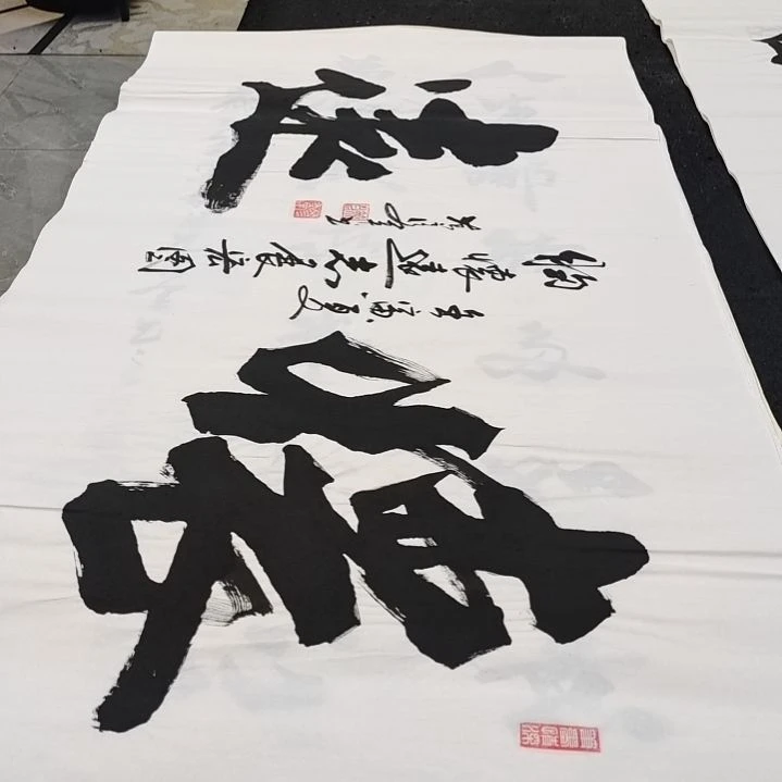 翰墨范彦军老师作品一副
