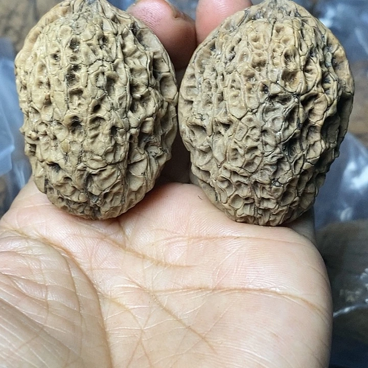 文玩核桃把件云南铁核桃94