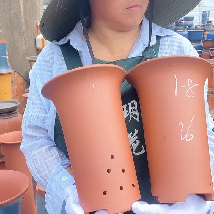 紫砂花盆盆栽花卉种植