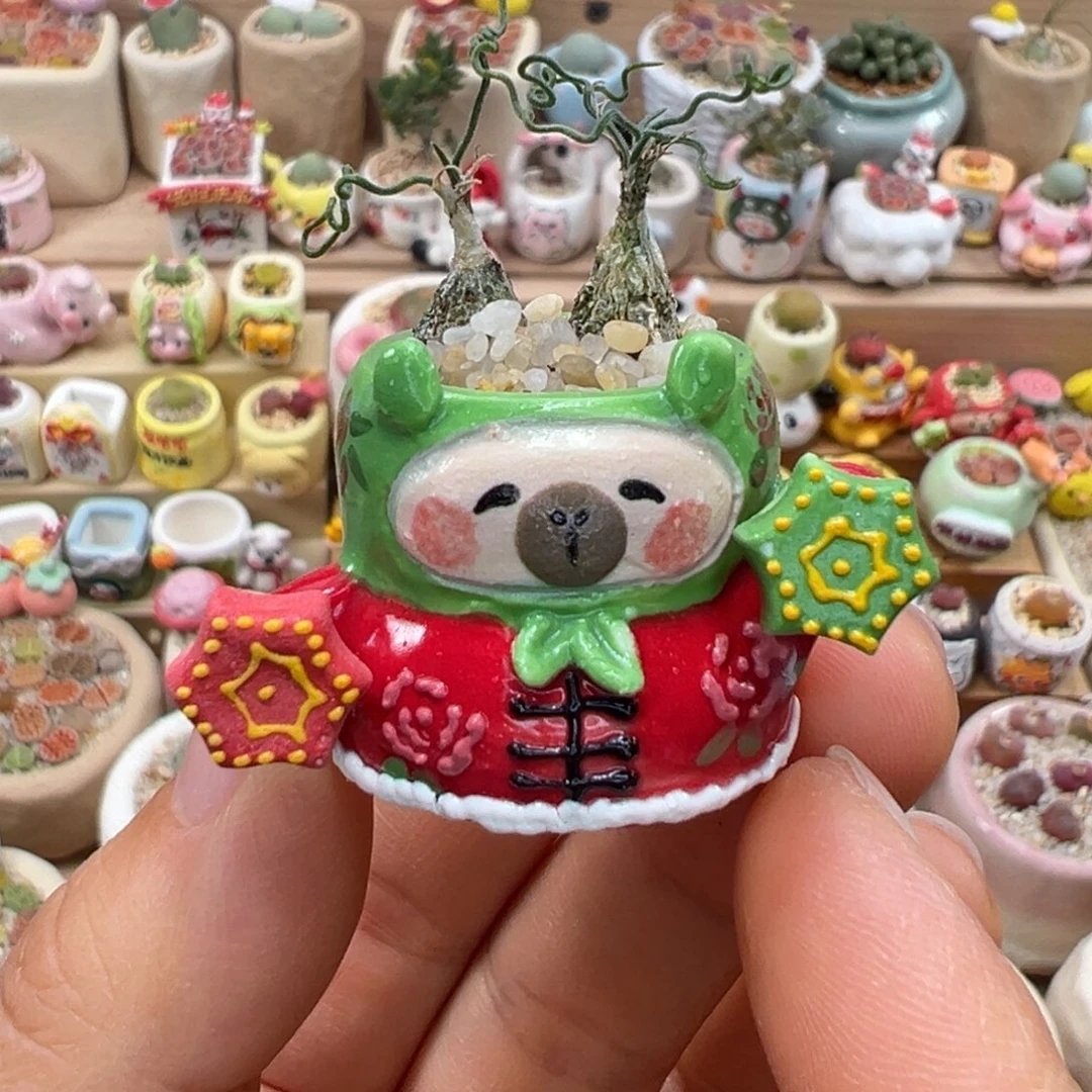 多肉植物123号海葱