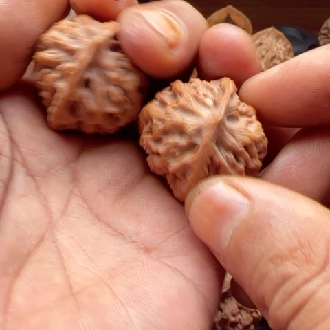 烟***生核桃陕西秦岭秦闷狮子头