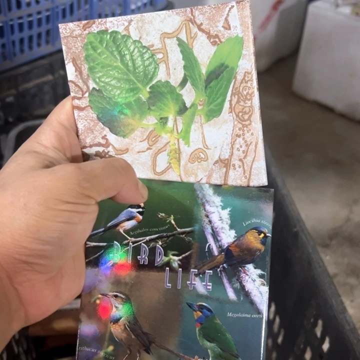 外贸库存尾单瓷器