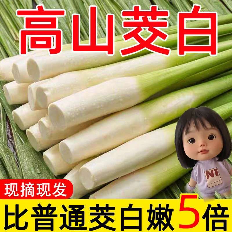 茭白新鲜时令农家自种高笋 茭笋 批发当季 孕妇蔬菜