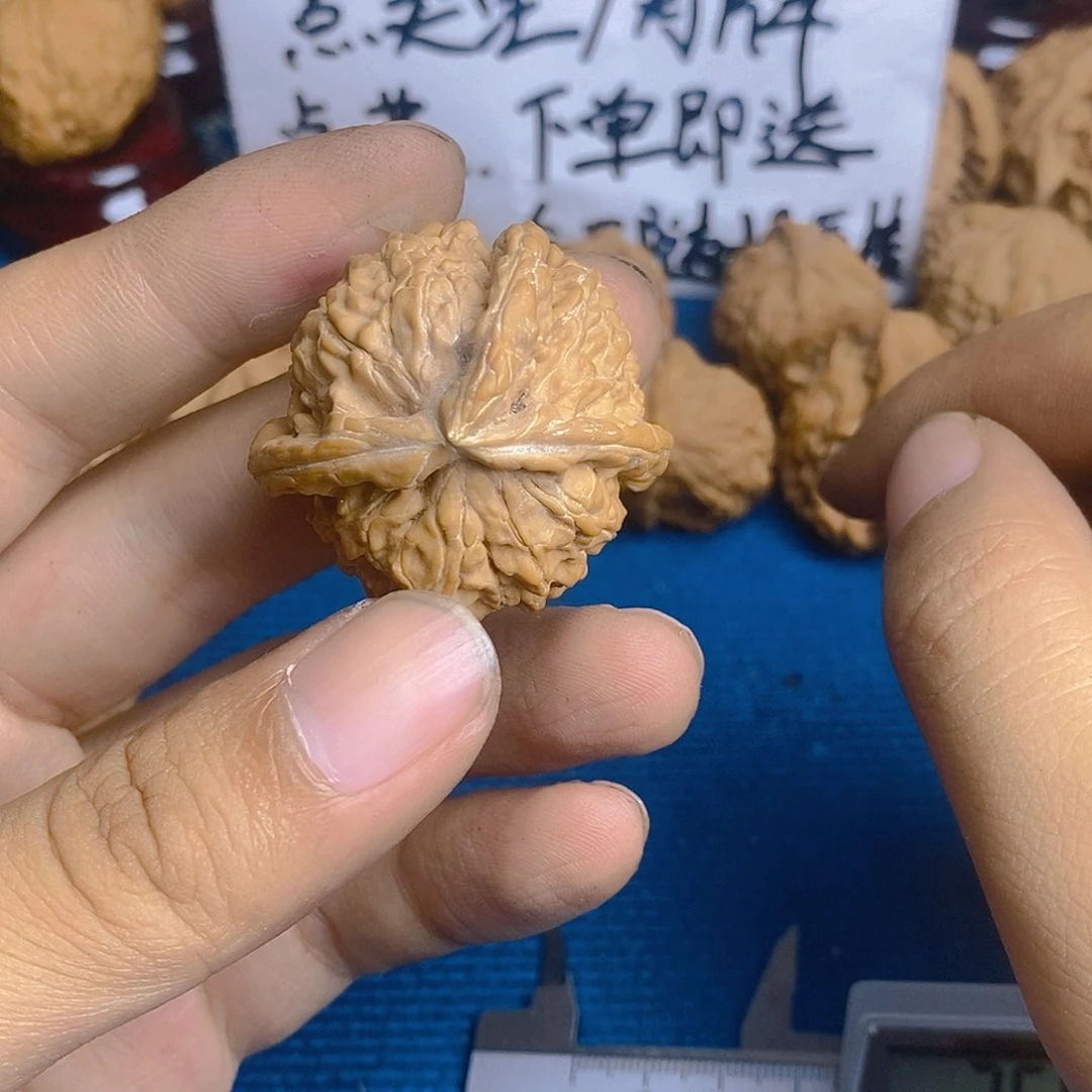 ও***地核桃手串/手链尖有黄