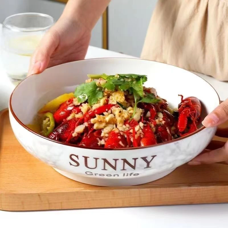 2025新款高颜值家用大汤碗两个装陶瓷大号沙拉碗菜碗创意家用汤碗