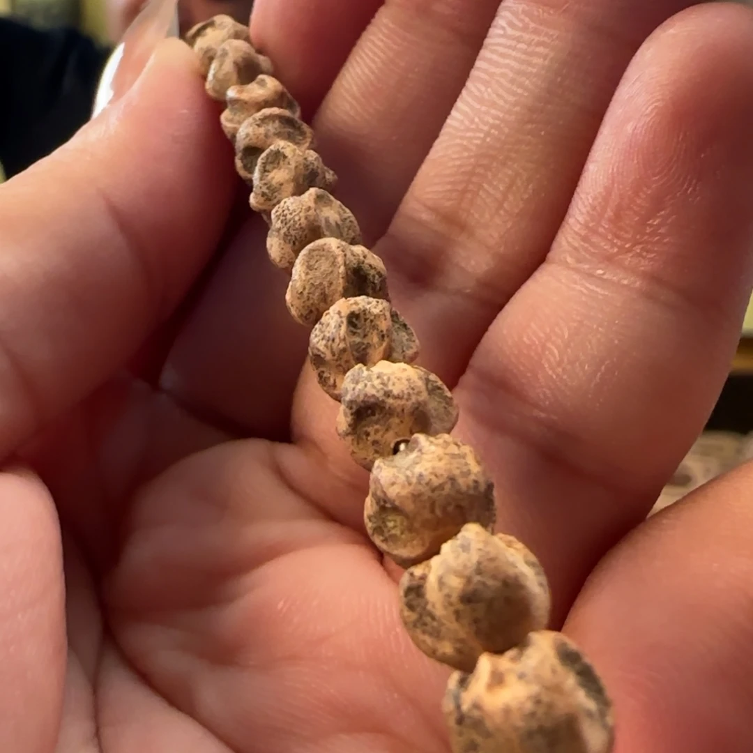柏香籽/百香籽手串龙脊深坑5➕
