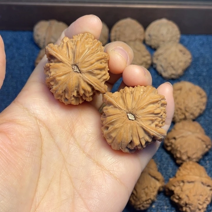 M***g大叶紫檀（黑酸枝木类）磨盘