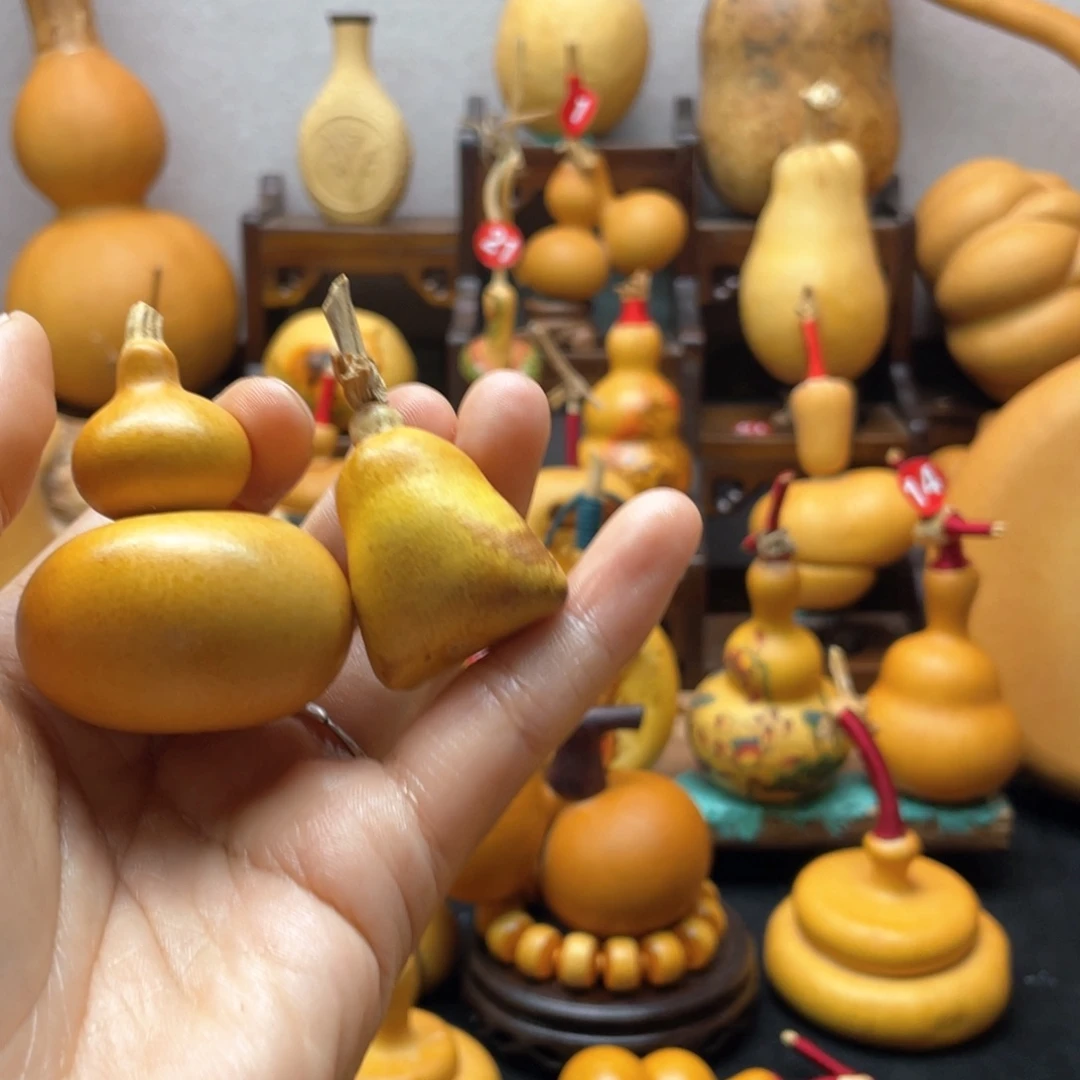 水**夏大自然的秘密第十一章第一