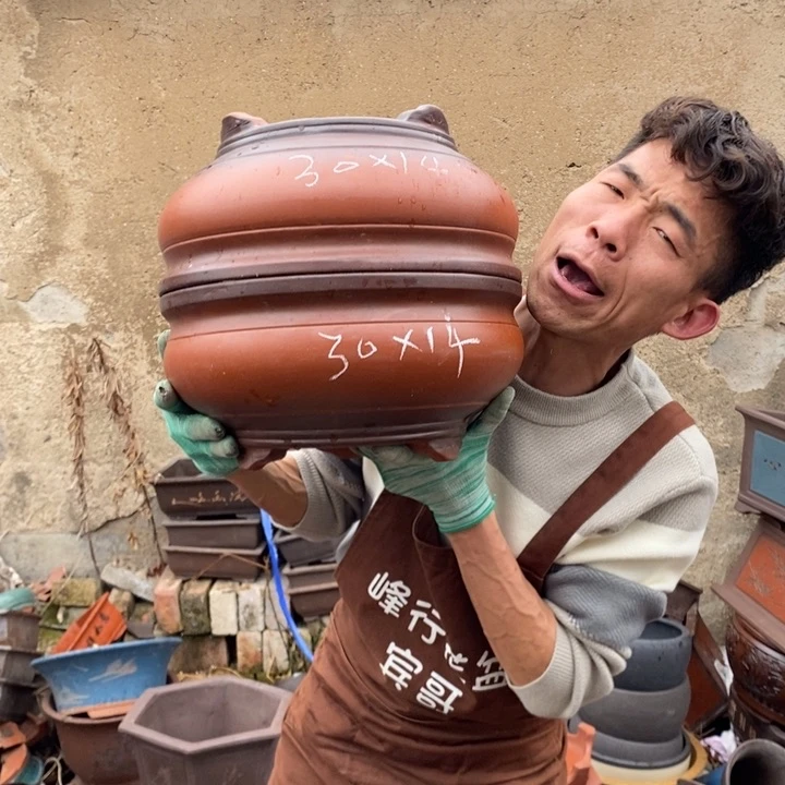 红陶我在想我是个什么时候