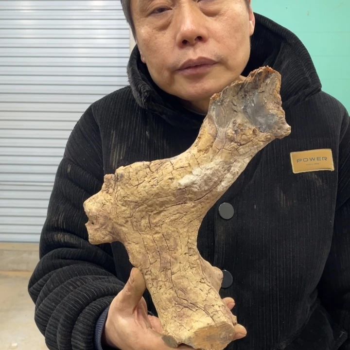 盘**心我们都是好孩子呀