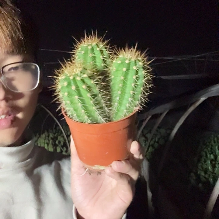 艳***活无花朵苏乞儿哈哈哈哈哈哈