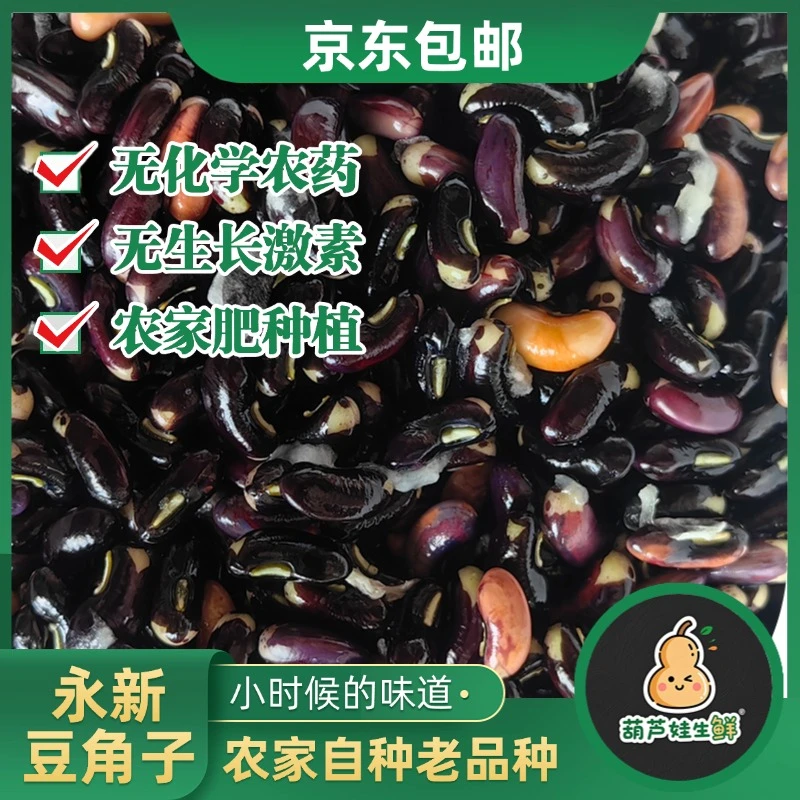 【京东包邮】永新本地肉豆角子 豆撅子 绿色农家产品 青椒炒好吃