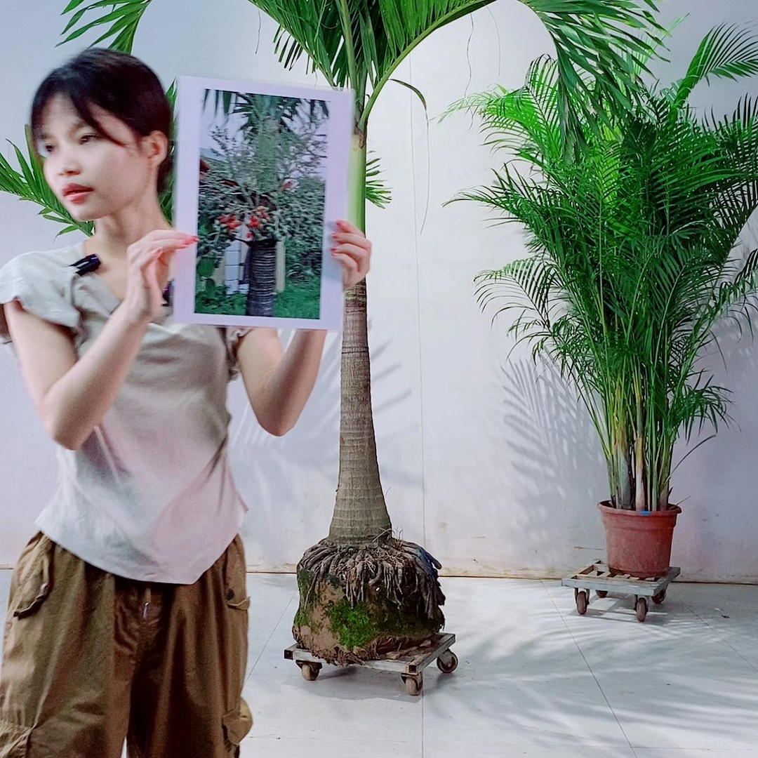 无花朵永*24567778888888