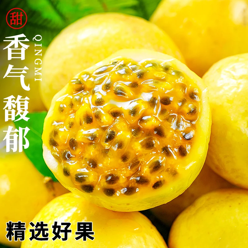 G正宗钦蜜九号百香果当天现摘新鲜香甜果肉饱满多汁露天种植健康