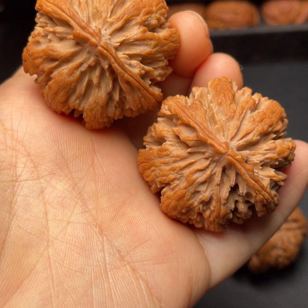 文玩核桃把件秦岭山脉核桃