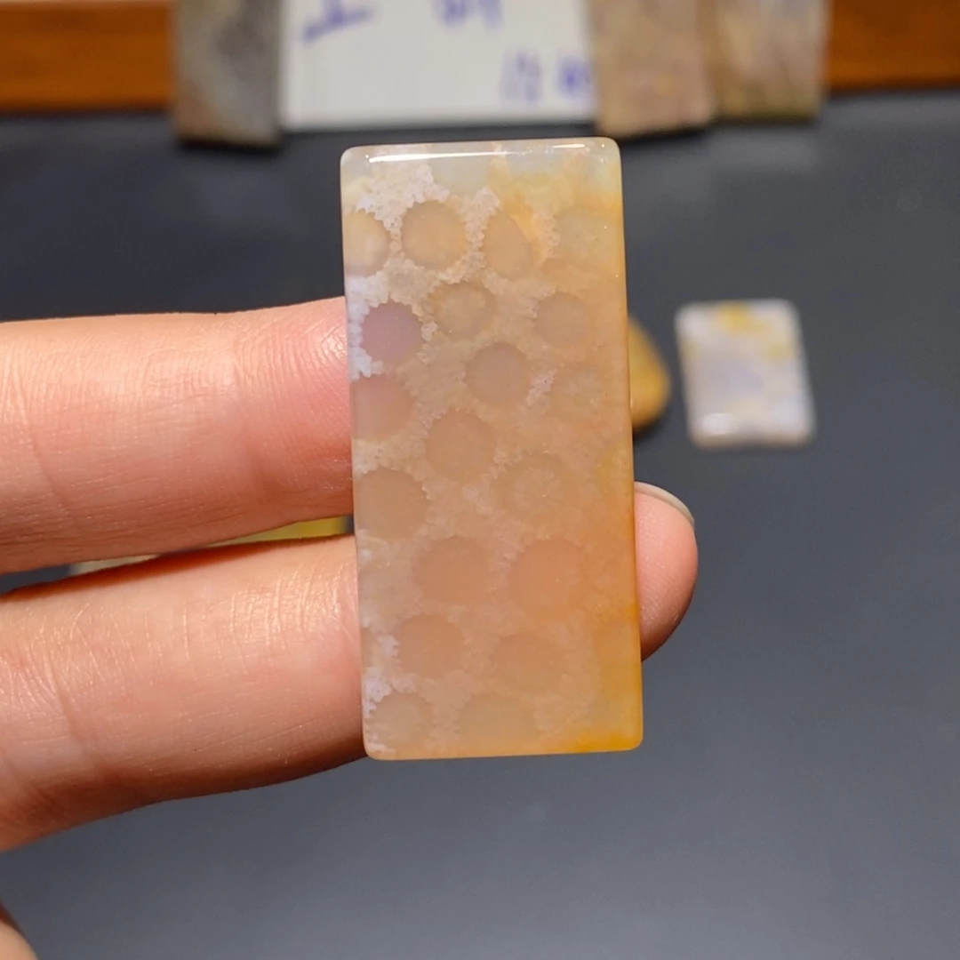 【闪购商品】未镶嵌珊瑚玉硅化玉