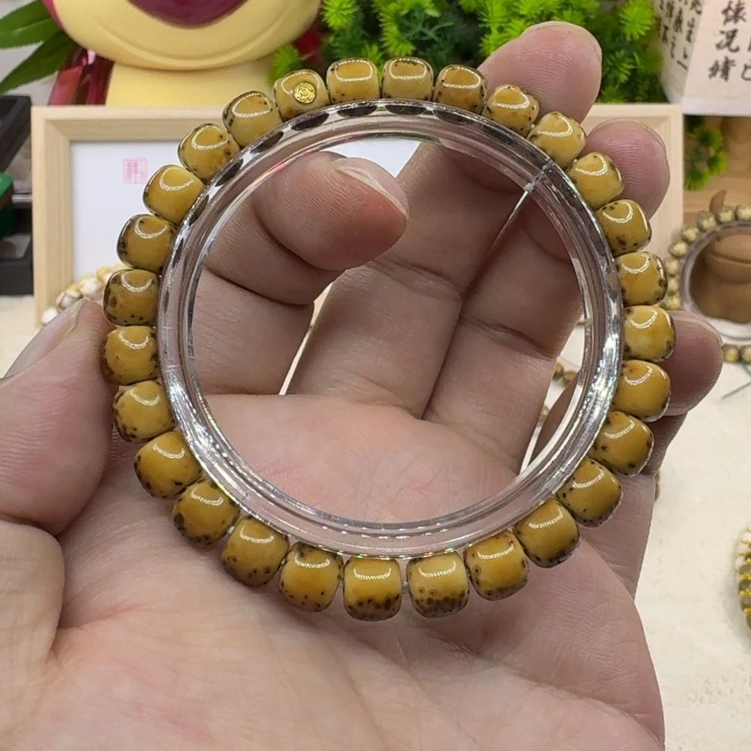 星月菩提手串海南原生态河豚单圈