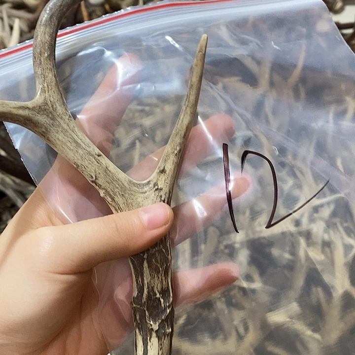 大理石磁石鹿角鹿角鹿角鹿角
