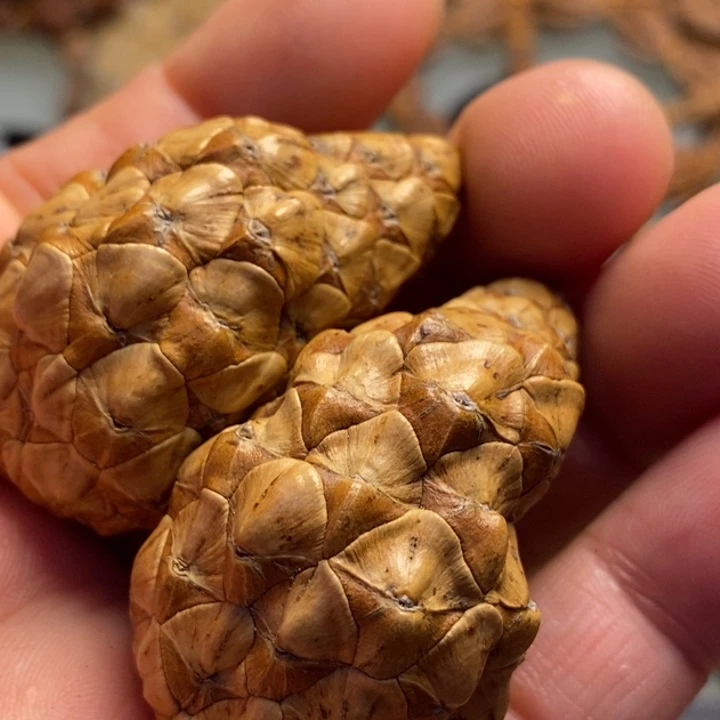 香榧木拿姐工艺流程7