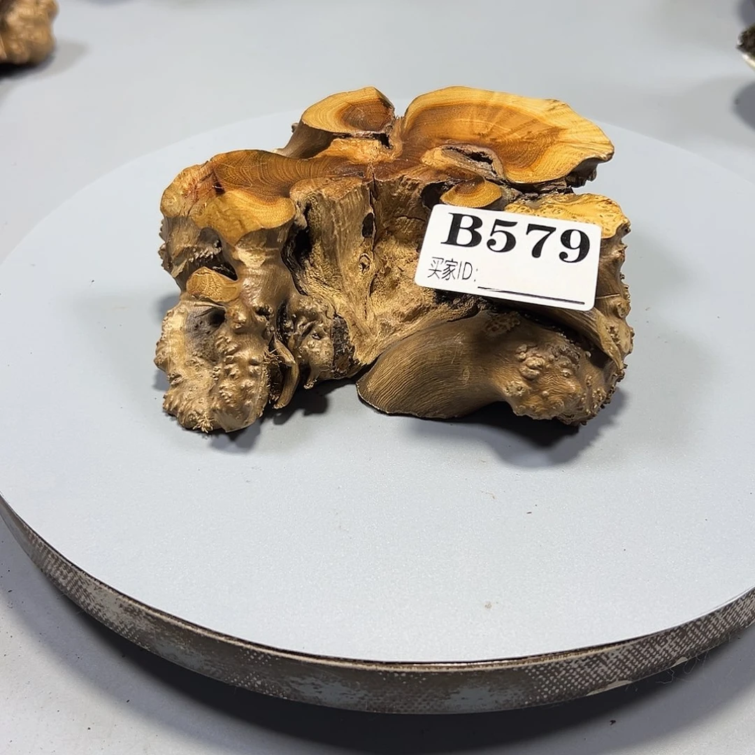 大果紫檀（缅甸花梨）七****5