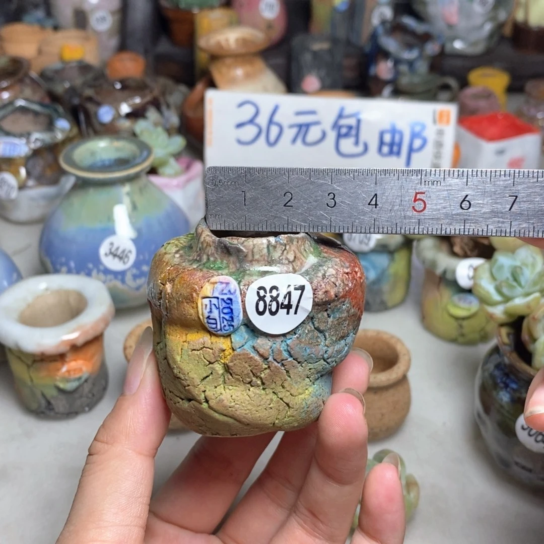 拍2送一个小礼物