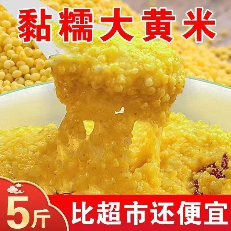 【到手五斤】新米大黄米颗粒香糯糯高品质粘米粥米年糕大黄米新米