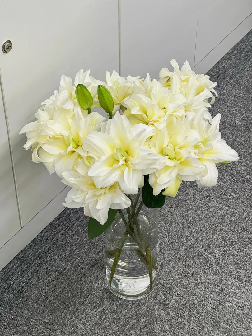 【泽塔】精选优质泽塔百合插花云南鲜花优质鲜切花水培鲜花