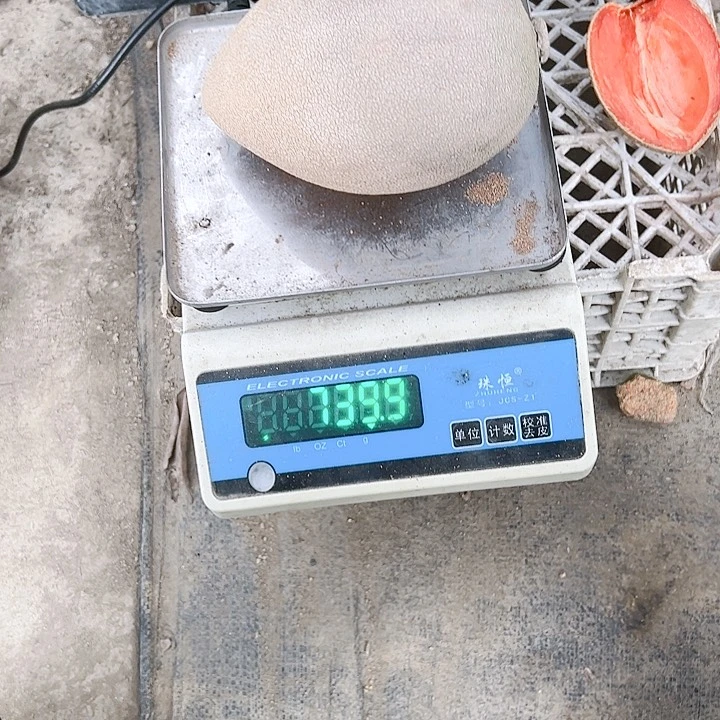 珍珠芭乐用****924678889